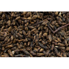 Берёзовые почки, цельные (Betulae Gemmae)