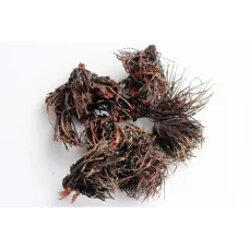 Красная Щетка, корни - Native Botanic Красная Щетка, корни - Native Botanic