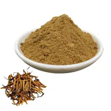 Кордицепс Милитарис, экстракт (Cordyceps, 45% polysaccharide) Кордицепс Милитарис, экстракт (Cordyceps, 45% polysaccharide)