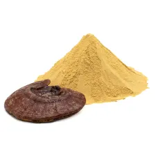 Рейши гриб, мицелий (Ganoderma lucidum, mycelium) Рейши гриб, мицелий (Ganoderma lucidum, mycelium)