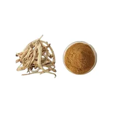 Жень Шень, экстракт (Panax Ginseng, 25% гинзенозидов)