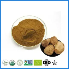 Шиитаке гриб, экстракт (Lentinula Edodes extract, 20% полисахаридов) Шиитаке гриб, экстракт (Lentinula Edodes extract, 20% полисахаридов)