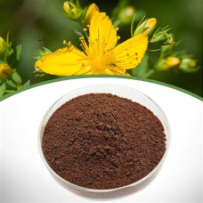 Зверобой, экстракт (Hypericum perforatum L., 0.3% гиперицина)