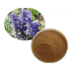 Аюга Туркестанская, экстракт (Ajuga Turkestanica, Живучка)