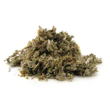 Дагга Дикая "Альба", Львиный Хвост, соцветия (Wild Dagga, Leonotis Leonurus Alba, Lion\'s Tail)