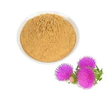 Расторопша, экстракт плодов (Silybum Marianum, 80% Silymarin)  