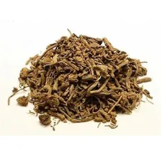 Дрема белая, корень (Silene latifolia)