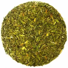 Дрема белая, трава (Silene latifolia)