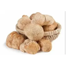 Ежовик Гребенчатый, мицелий (Lion\'s Mane, mycelium)